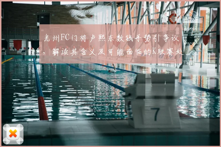 光州FC门将卢熙东数钱手势引争议，解读其含义及可能面临的K联赛处罚规定